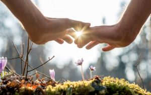 Close up Bare Hand of a Man Covering Small Flowers at the Garden with Sunlight Between Fingers.