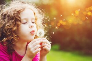 Little curly girl blowing dandelion in spring park.